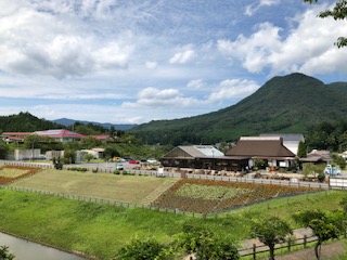 周辺観光案内