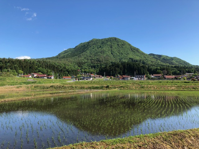 営業一部再開のお知らせ